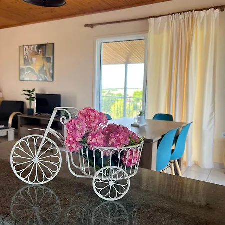 Σπίτι διακοπών Xenia's Seaview House Paralia Avlidhos